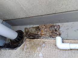 ドレンスライム