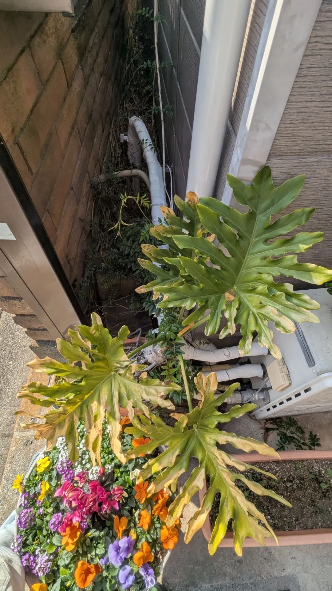 施工前配管接続部