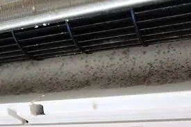 エアコンを止めたあとが勝負！