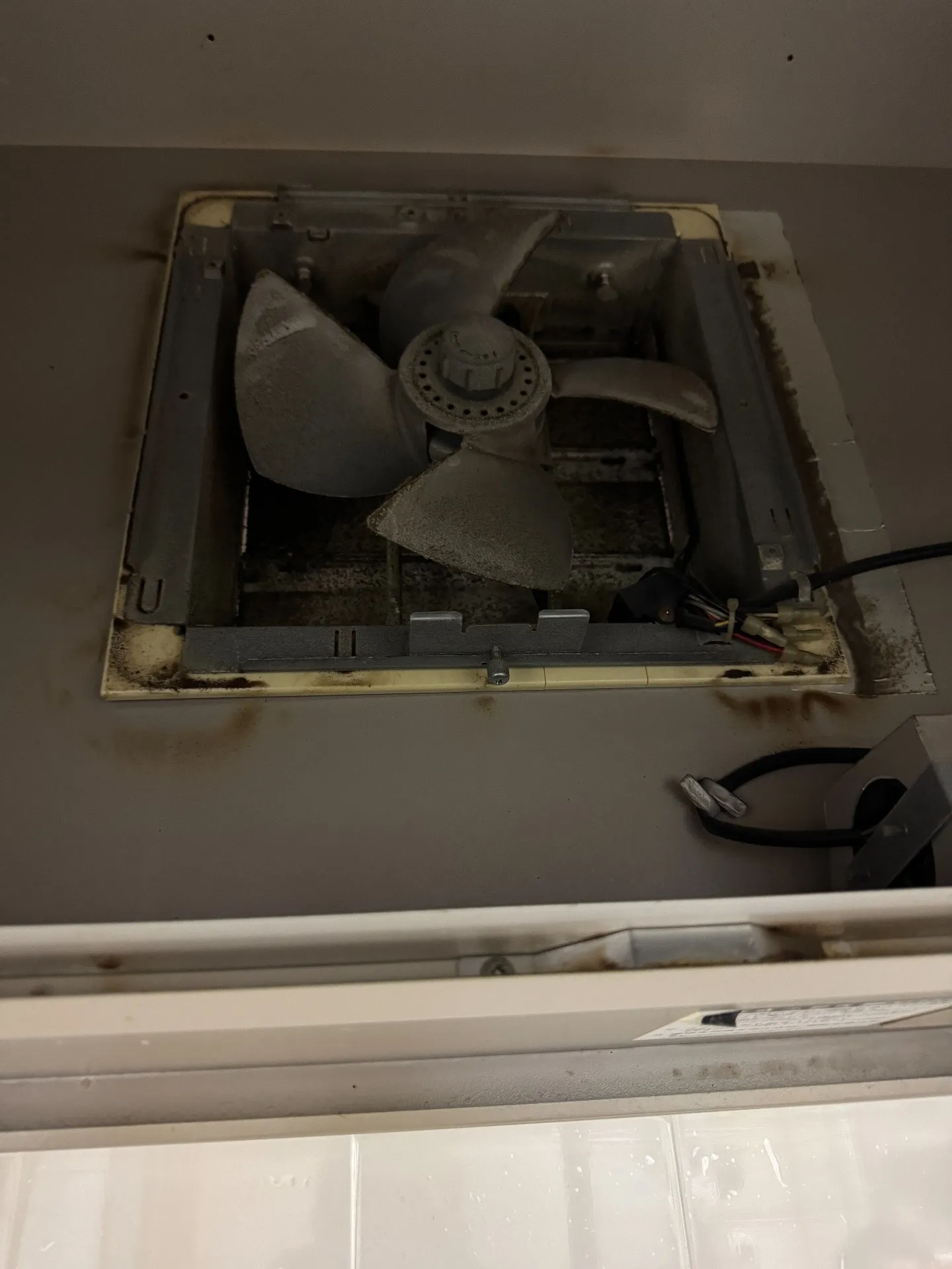 撤去後施工前換気扇