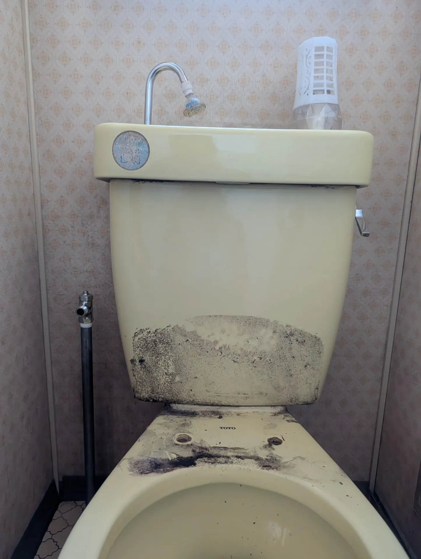 ウォシュレット撤去